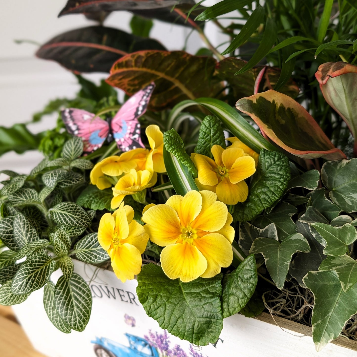 Springing Forward
