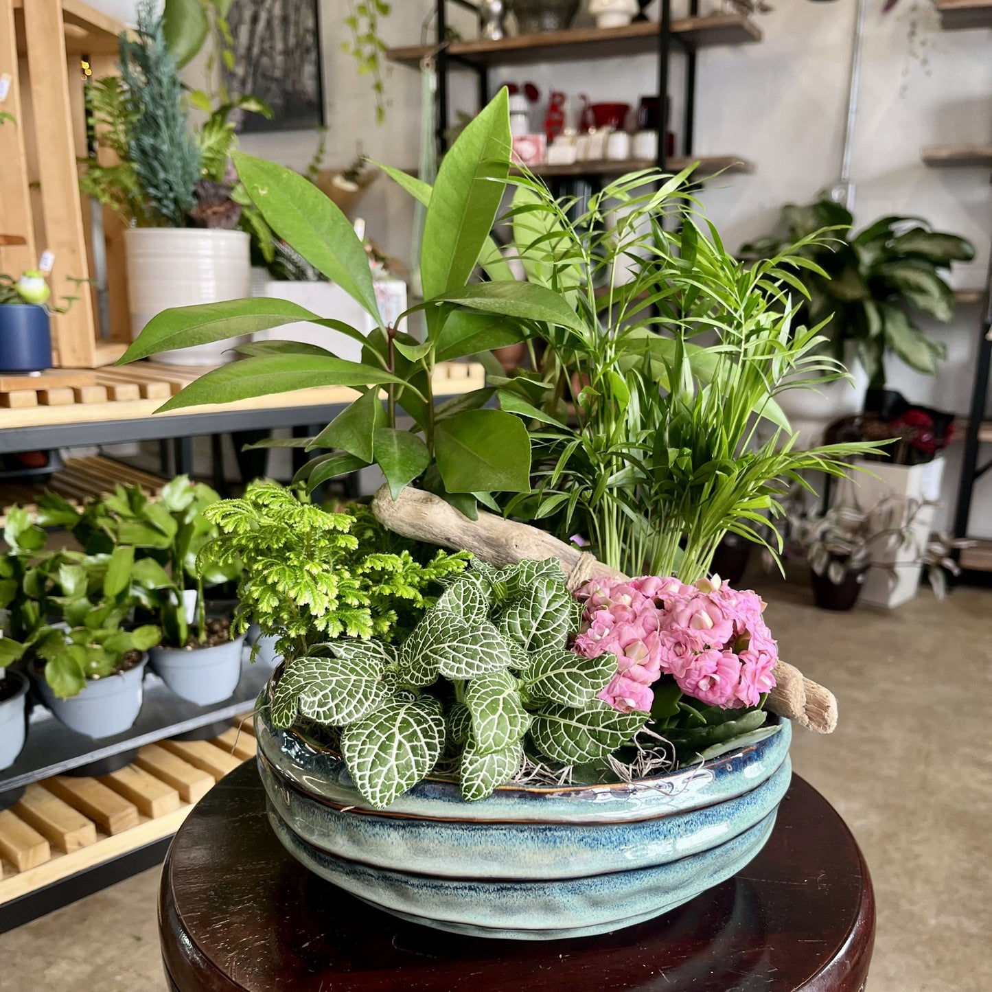 Glorious Garden