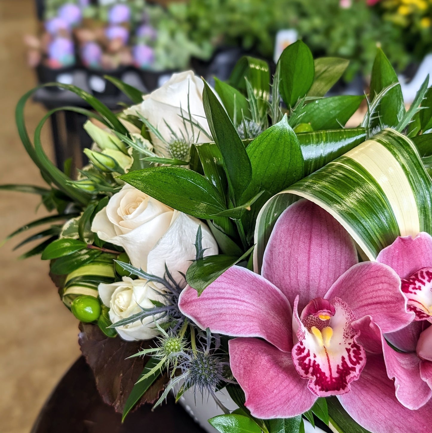 Blissful Blooms