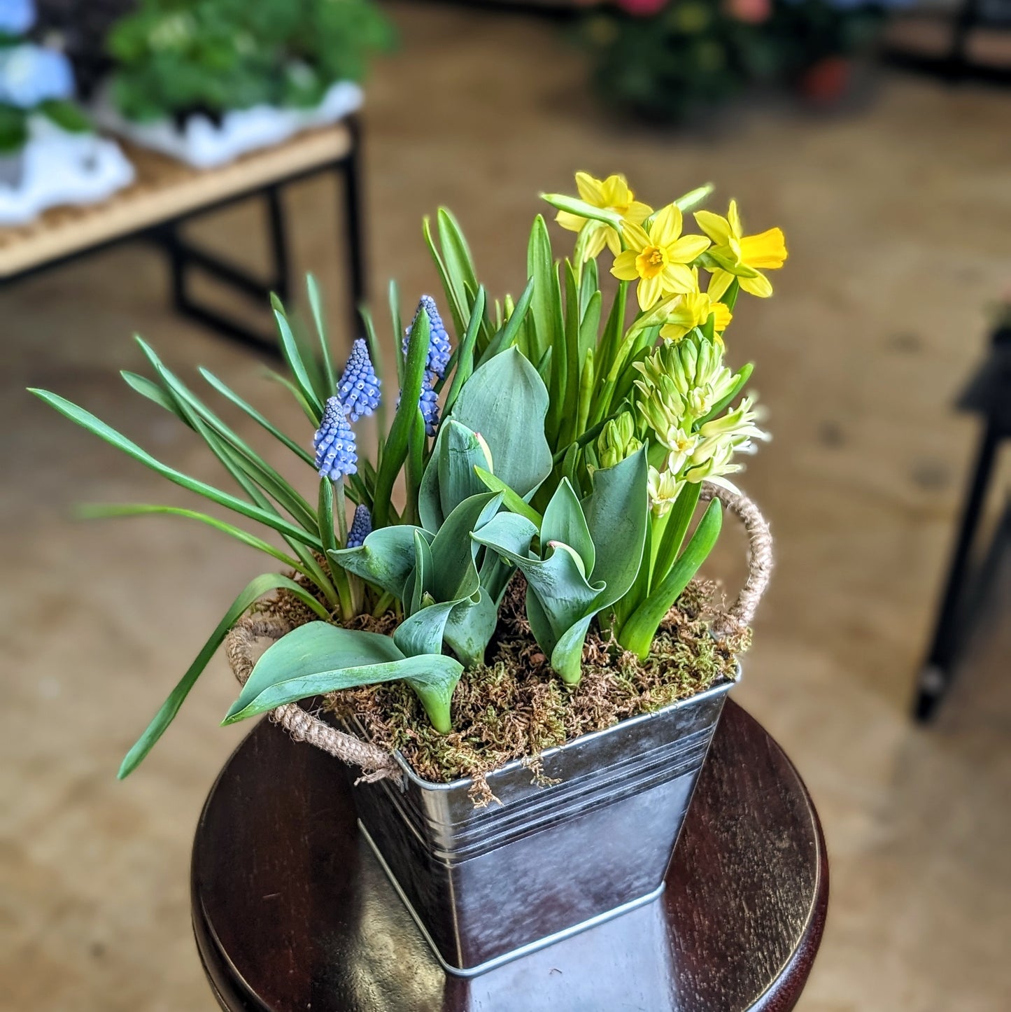 Bucket O' Blooms