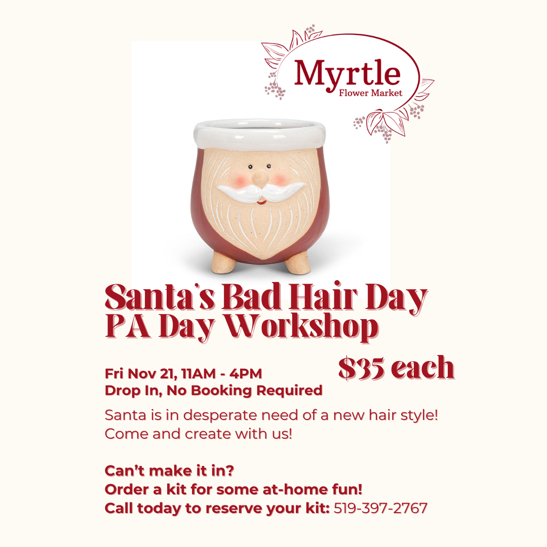 Santa's Bad Hair Day Workshop - Pick-up Kit