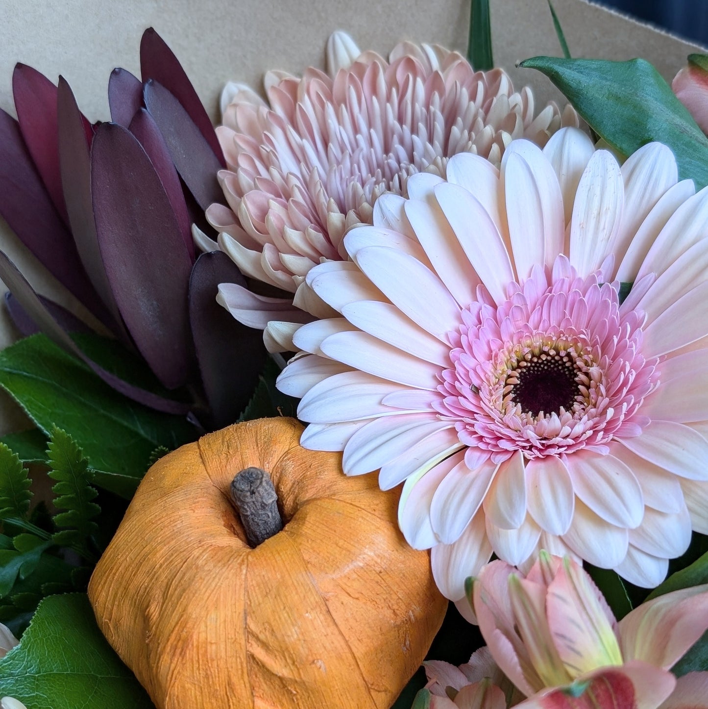 Pumpkin Patch