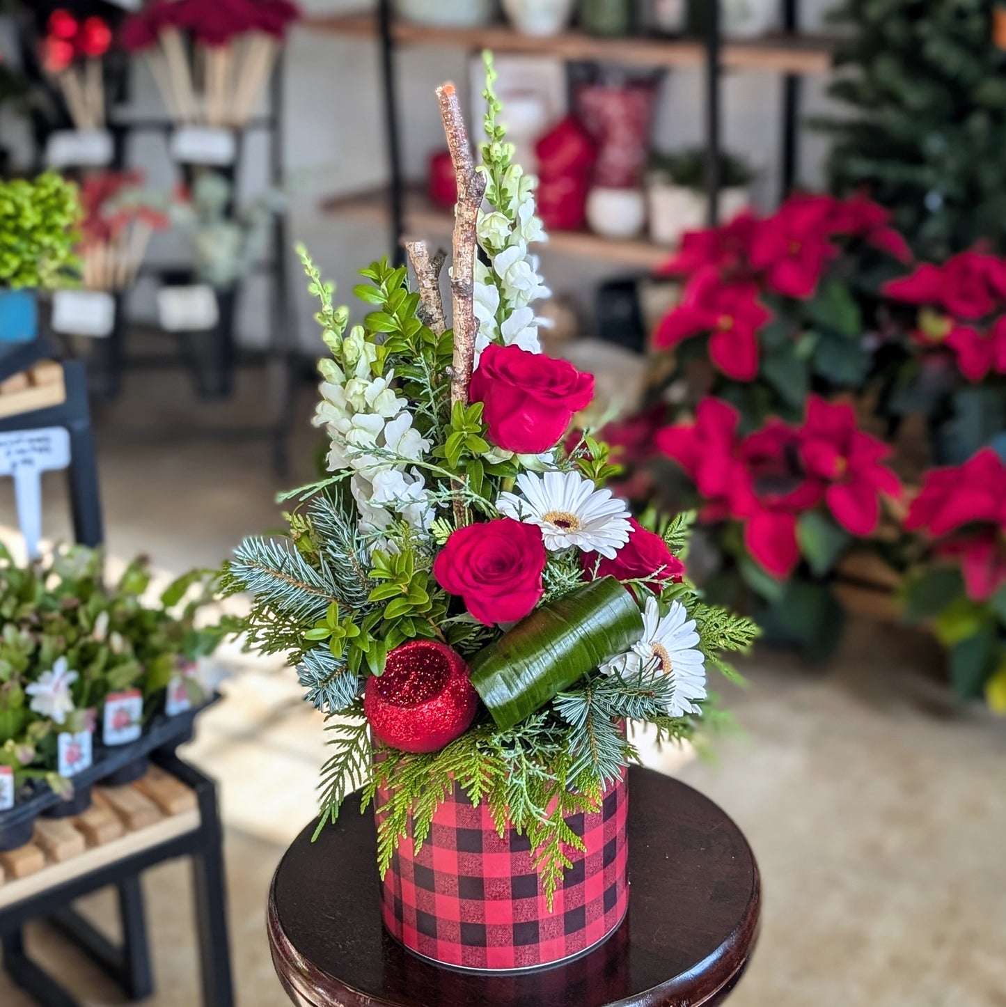 Warm Wishes
