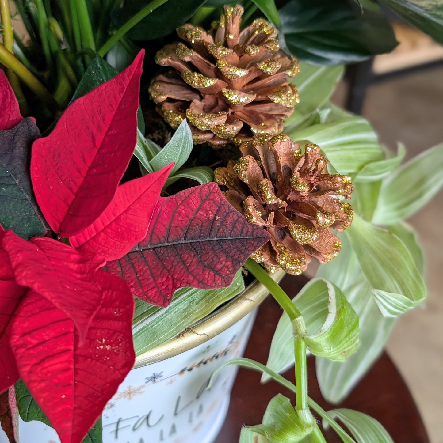 Cocoa and Carols
