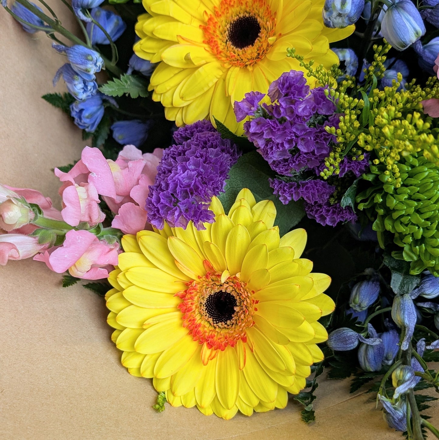 Vibrant Cheer