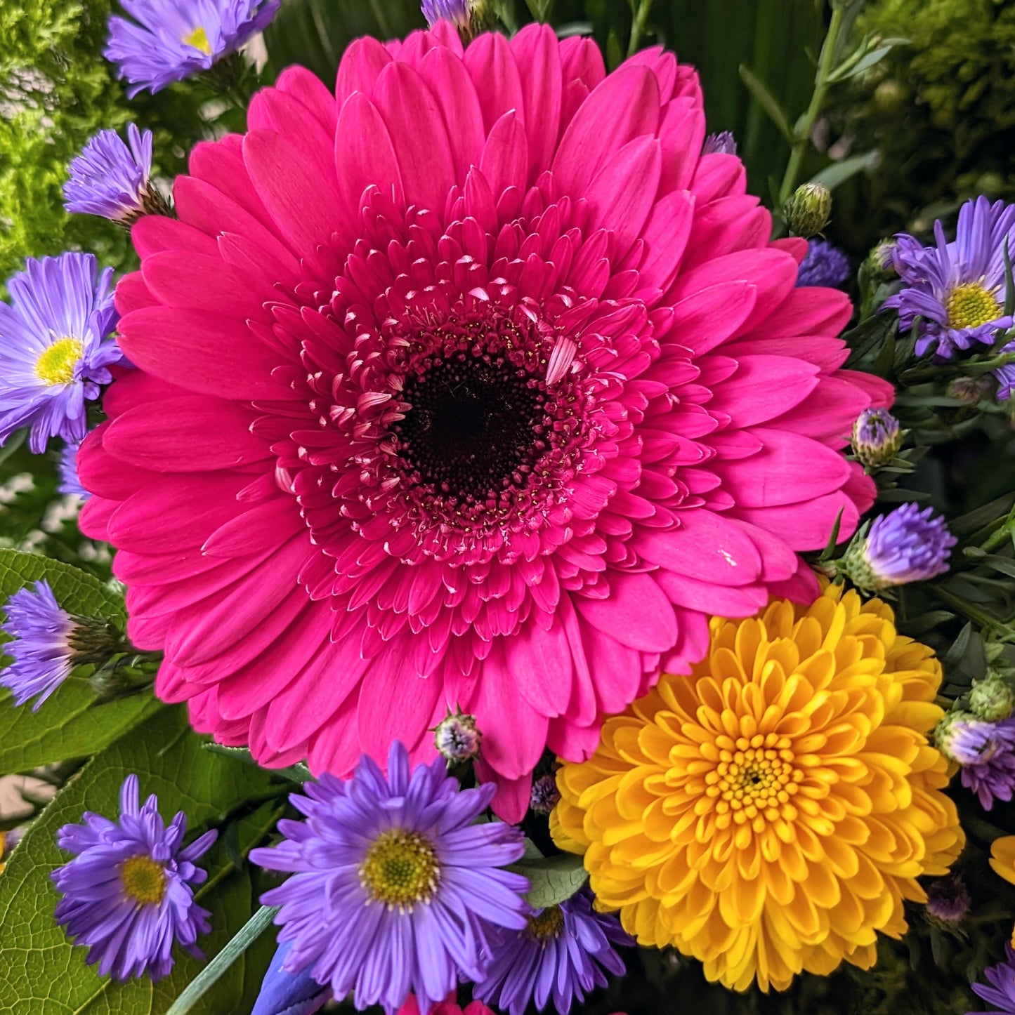 Spring Cheer