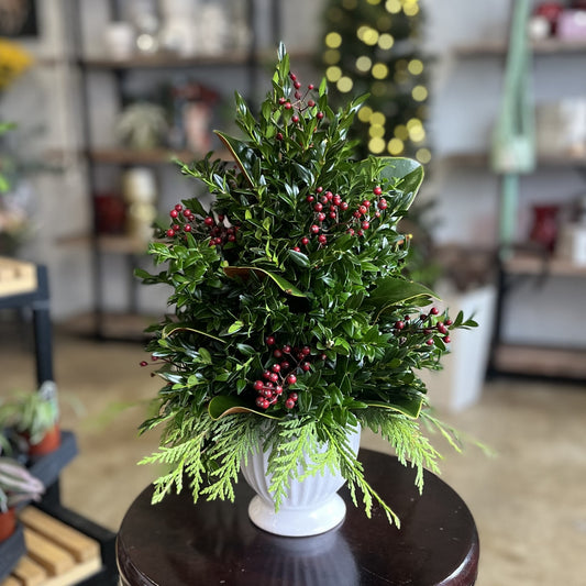 O Christmas Tree Workshop  Wednesday Dec 3 @ 6PM