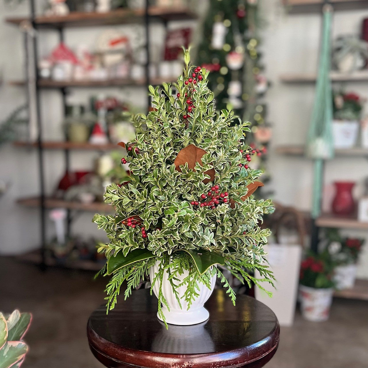 Boxwood Christmas Tree