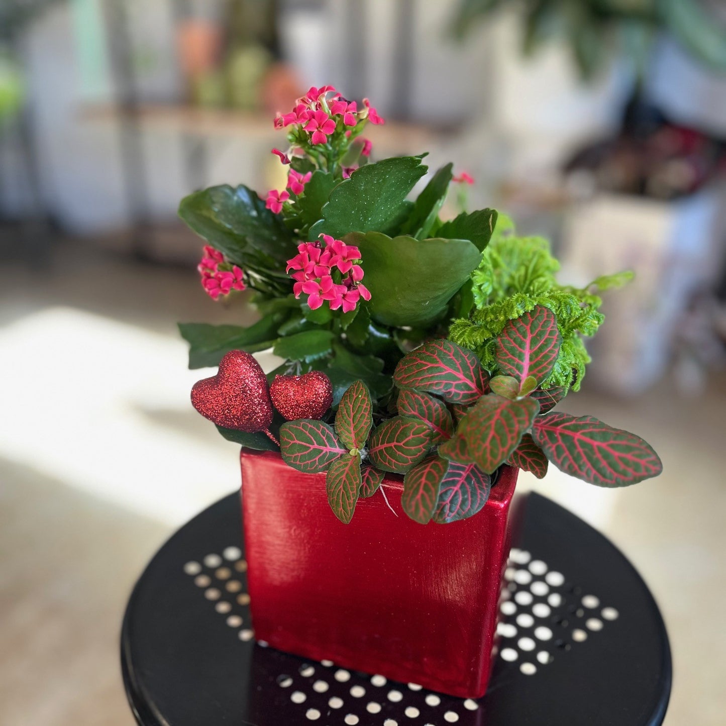 Say it with Plants!