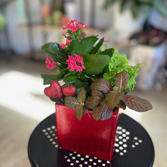 Say it with Plants!