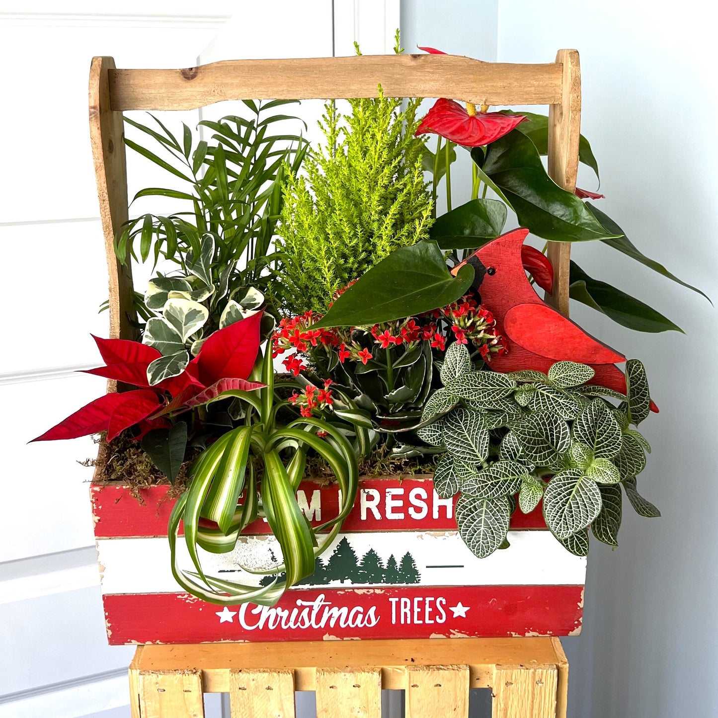 Christmas Wishes - Planter