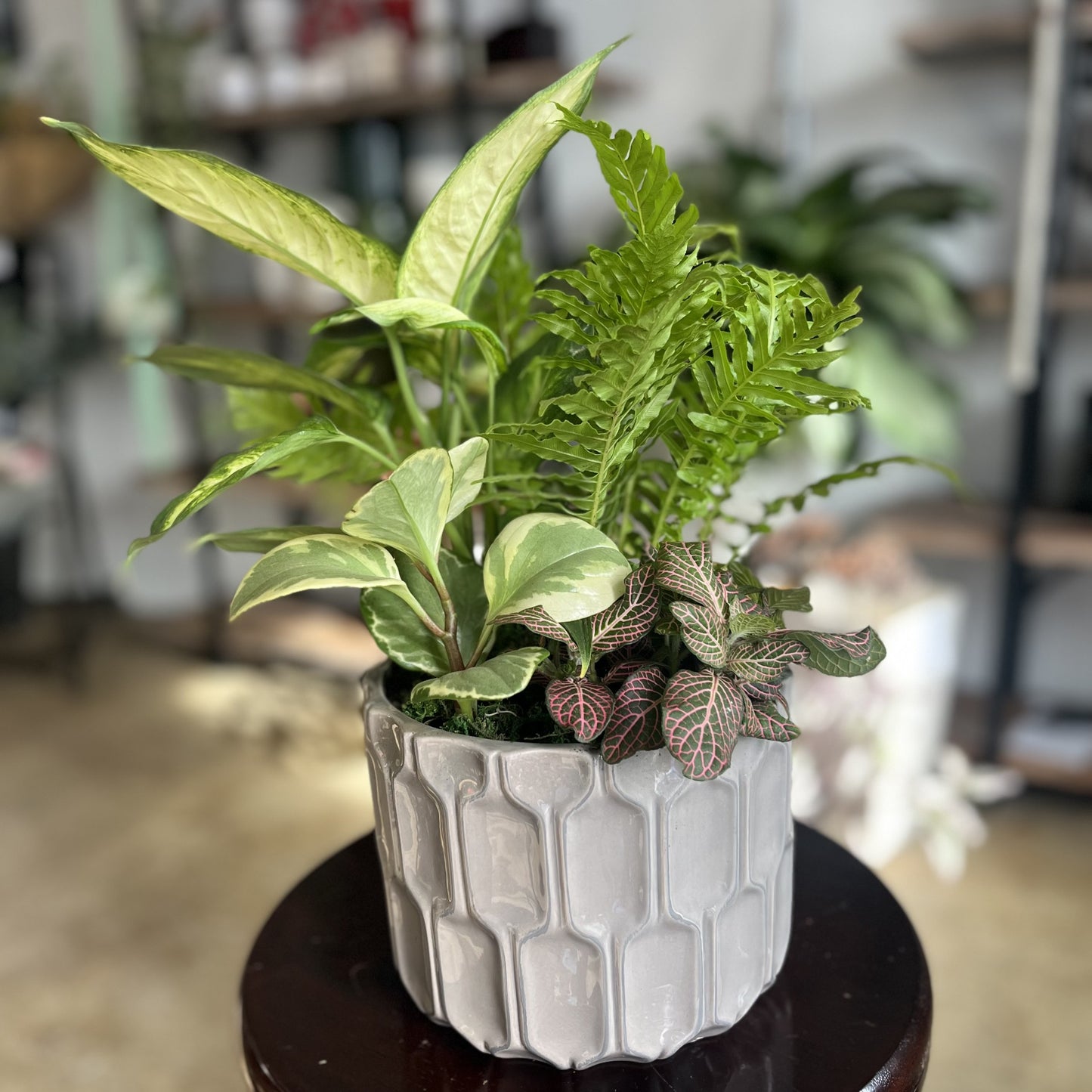 Indoor Garden