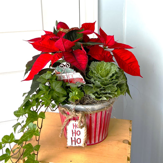 Dear Santa - Planter