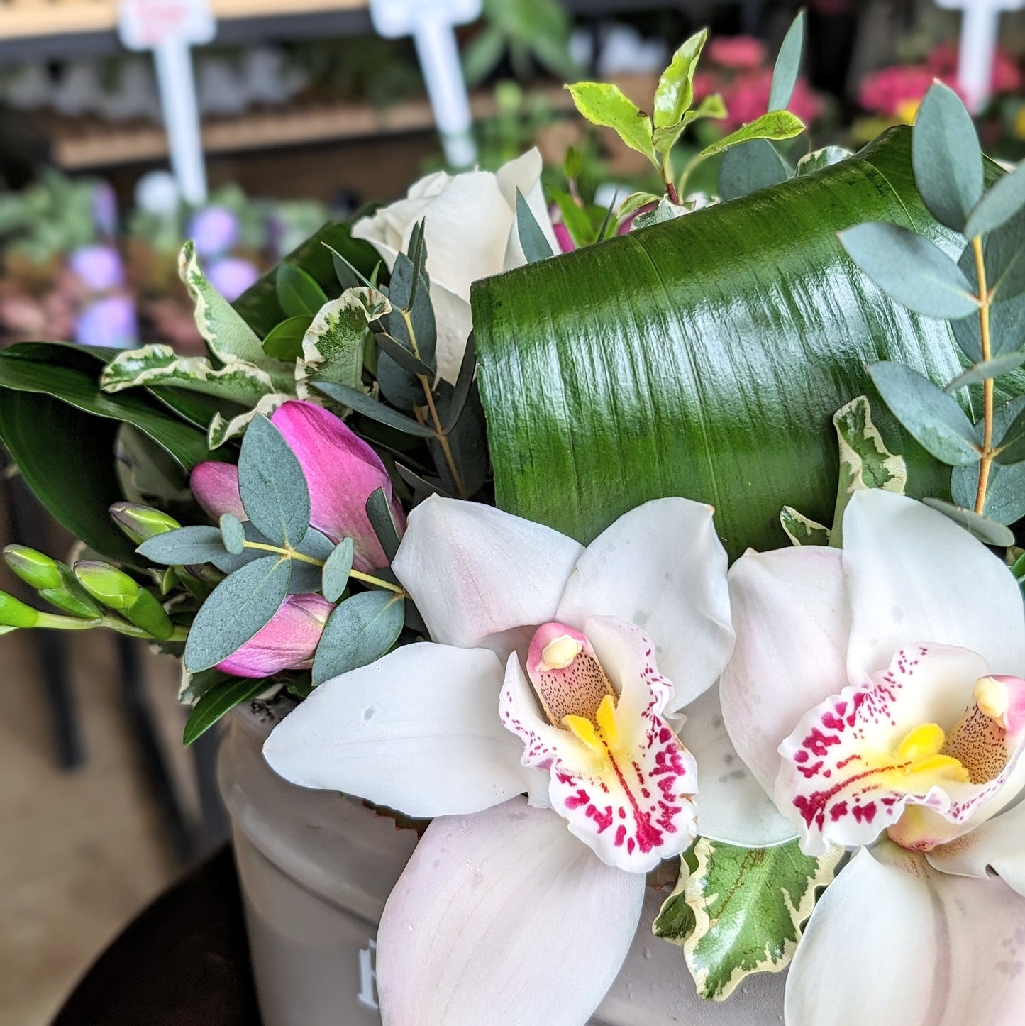 Market Blooms